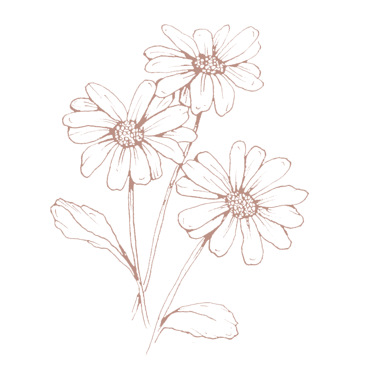 daisy 1 BC9185